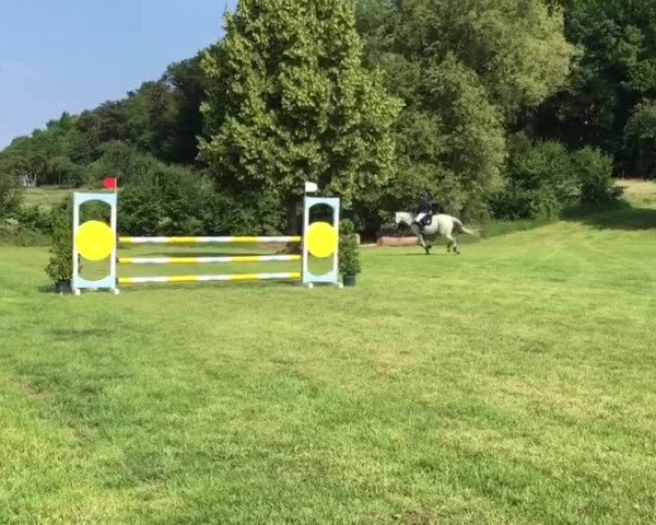 Video of Nimmera
