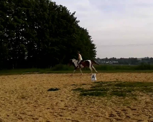 Video von Unna 7