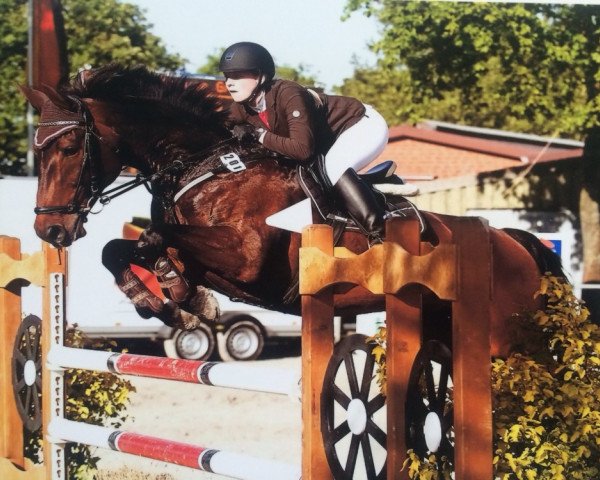 broodmare Carmen R (Westphalian, 2004, from Christoph Columbus) broodmare Carmen R (Westphalian, 2004, from Christoph Columbus)