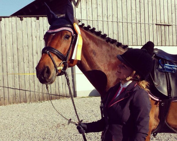 broodmare Racora Wh (Bavarian, 2007, from Acordelli)