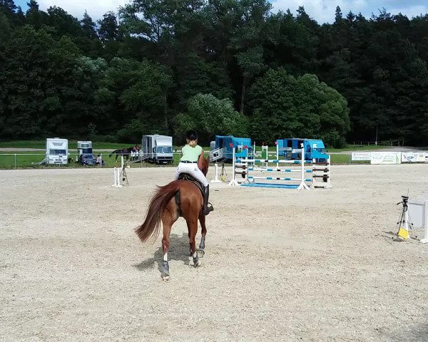 Video of Gretel