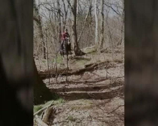 Video of Hannika