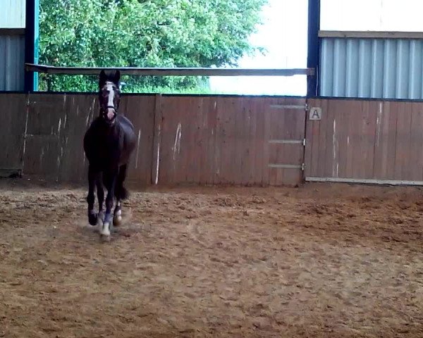 Video of Hannika