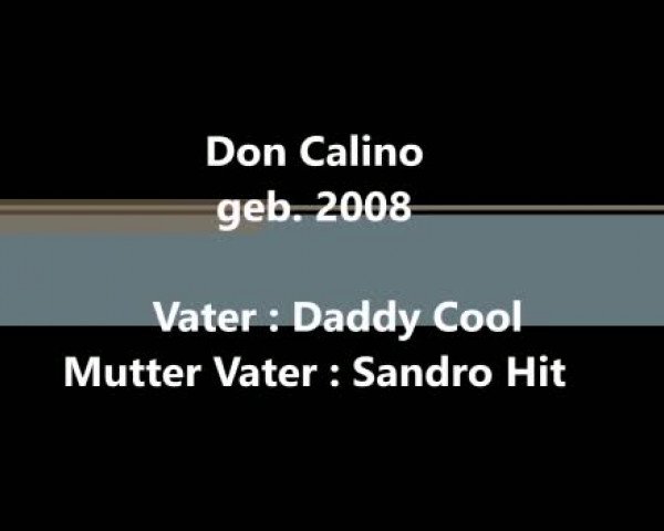 Video von Don Calino