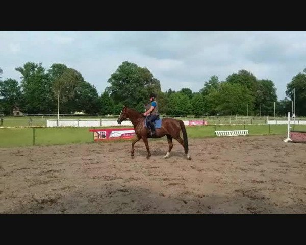 Video of Gertrud 13
