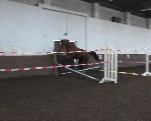 Video of Gertrud 13