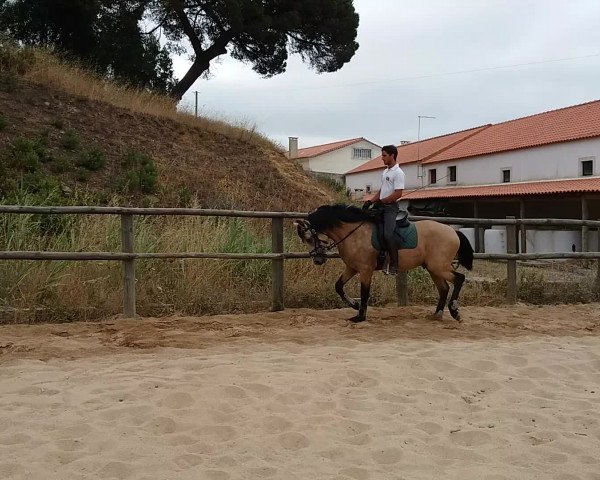 Video of Incrível