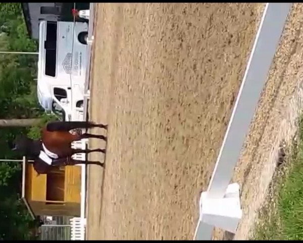 Video von Let's talk about Loui
