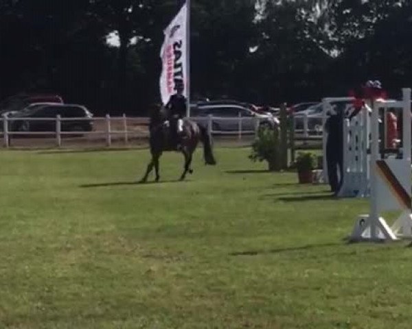 Video of Lex Caterhan