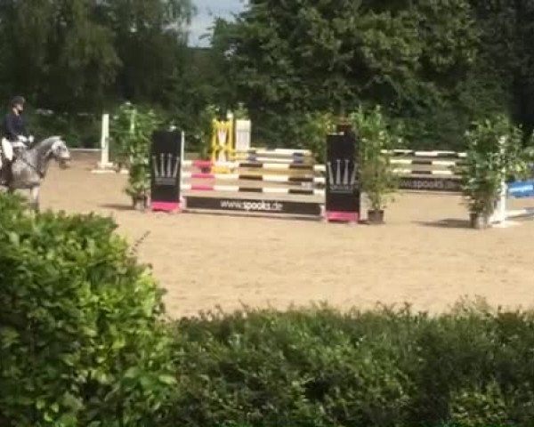 Video of Uniroyal 3
