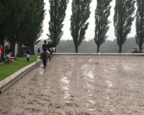 Video of Uniroyal 3