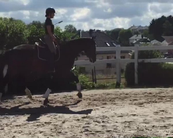 Video of Femme Fatale G