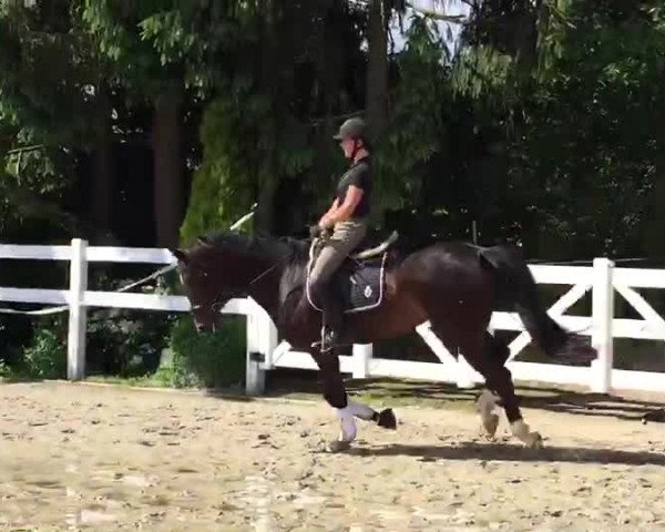 Video of Femme Fatale G