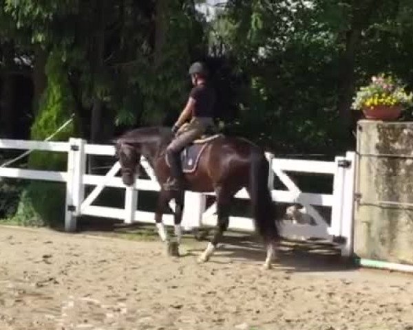 Video of Femme Fatale G