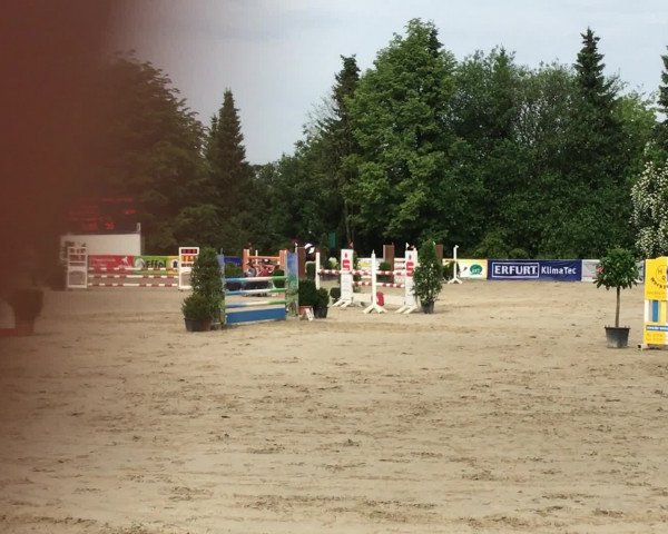 Video von Chicorino