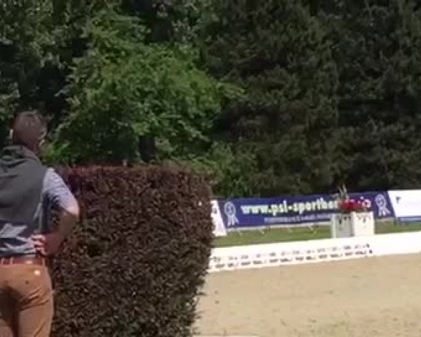 Video de Lord Schufro OLD