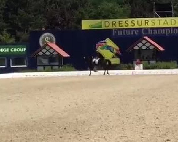 Video de Lord Schufro OLD
