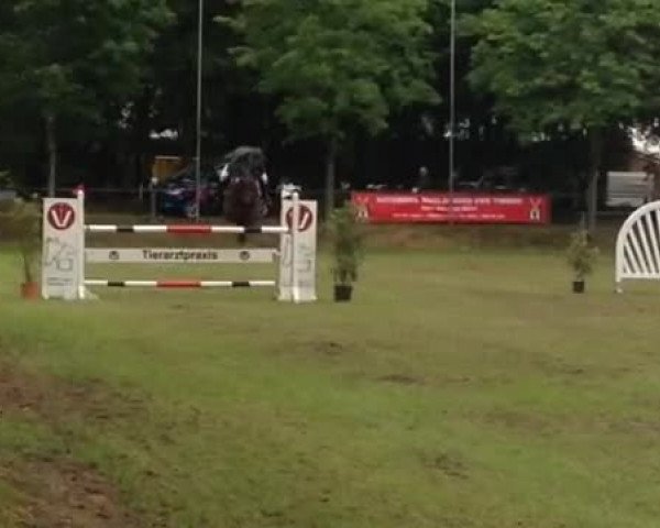 Video of Showtime 67