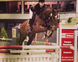 jumper Sir Charly 7 (Westphalian, 2006, from Contini)