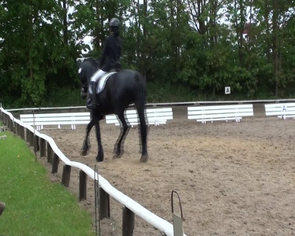 Video of Talisha
