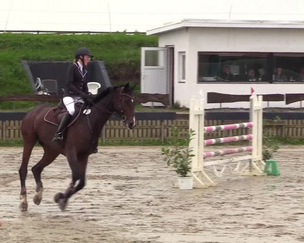 Reitturnier Schülp / Rendsburg 2021
