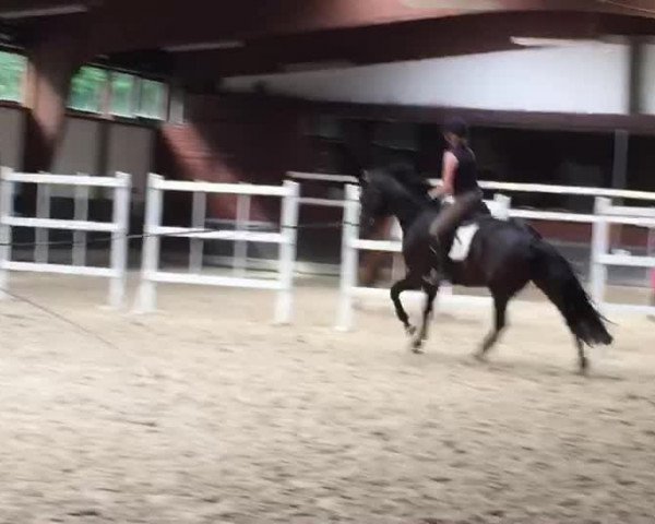 Video von FairPlay