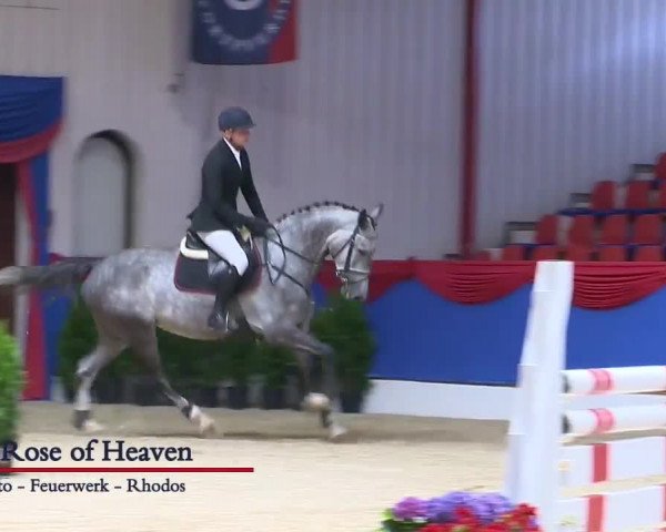 Video of Rose of Heaven W