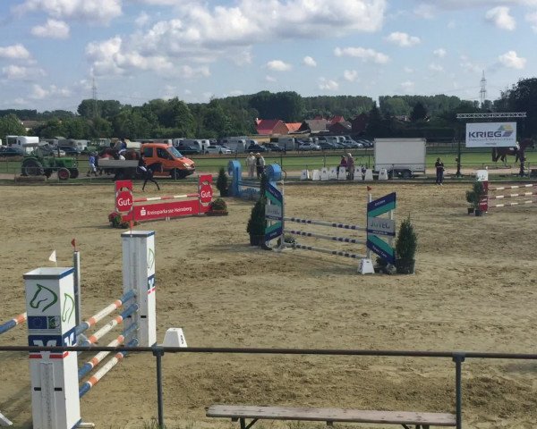 Video of Cobra Royal