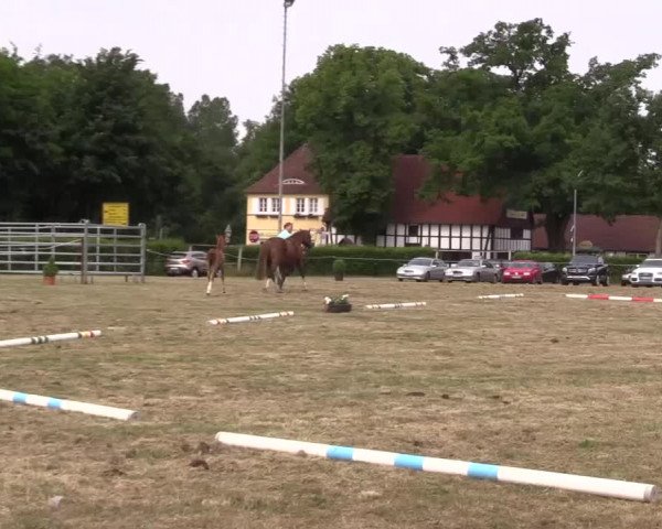 Video von Der Dieter 4