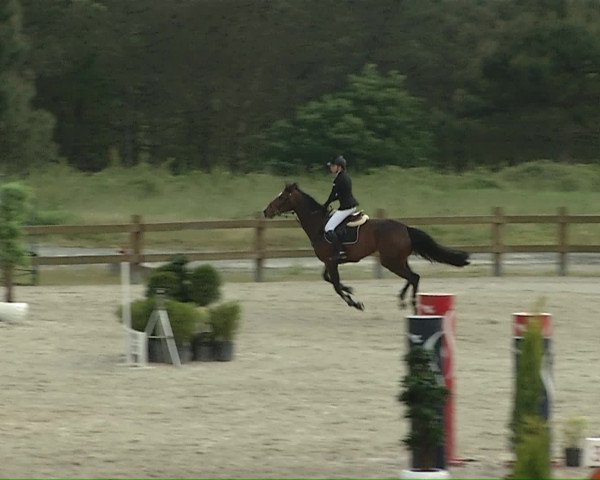 Video of Querine Vz