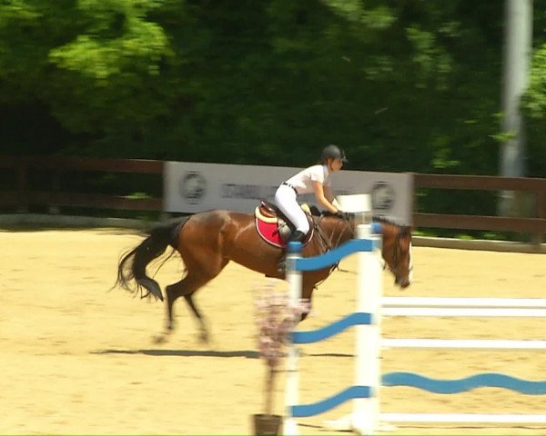 Video of Querine Vz