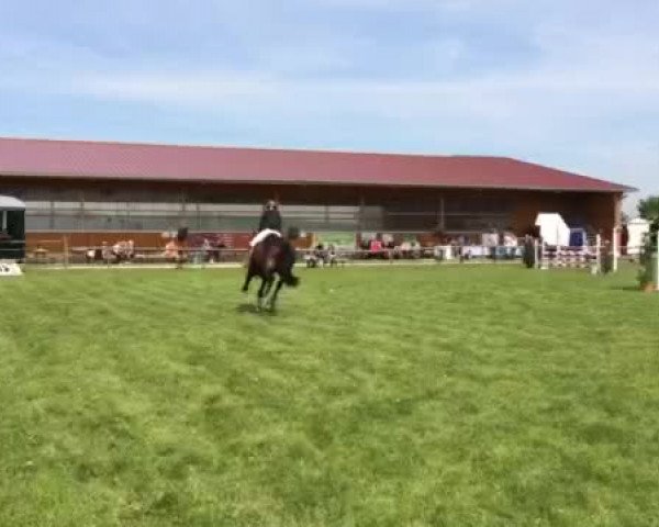 Video of Contigo 38
