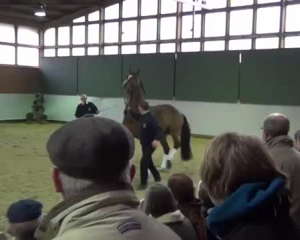 Video von Hogwart