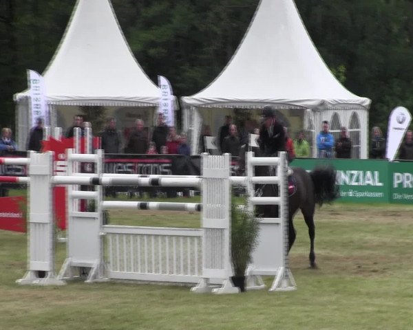 Reitturnier Borken 2016
