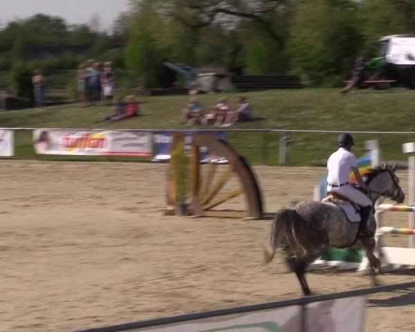 Reitturnier Hamm-Rhynern 2016