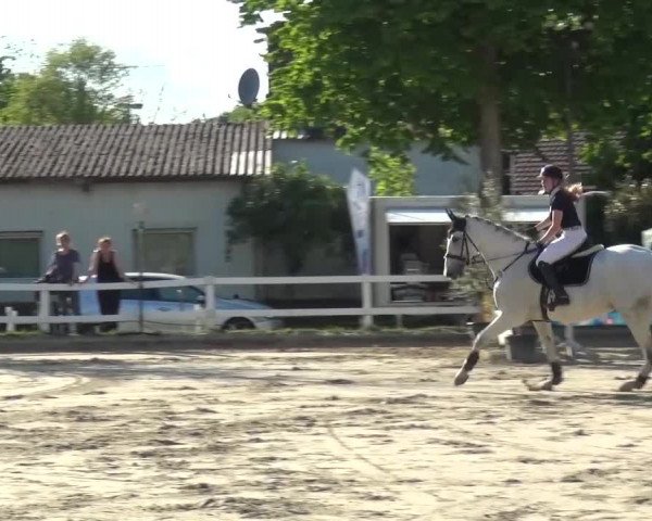 Köln-Seeberg 2016
Samstag, den 07.05.2016
32 Mannschaftsspring - WB E-A-L