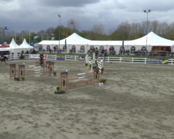 Video of Coraggiosa 2