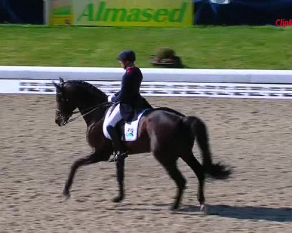 Video of Franziskus FRH