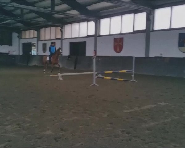 Video of Golden Hope