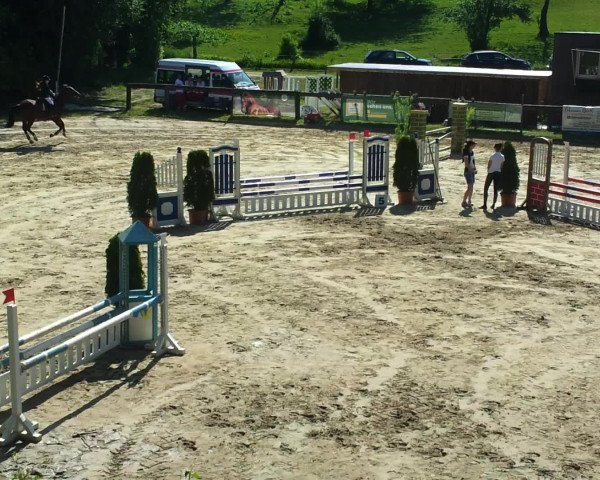 Video of Vilege