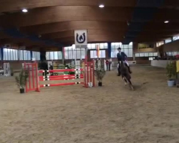Reitturnier Heiden 2016