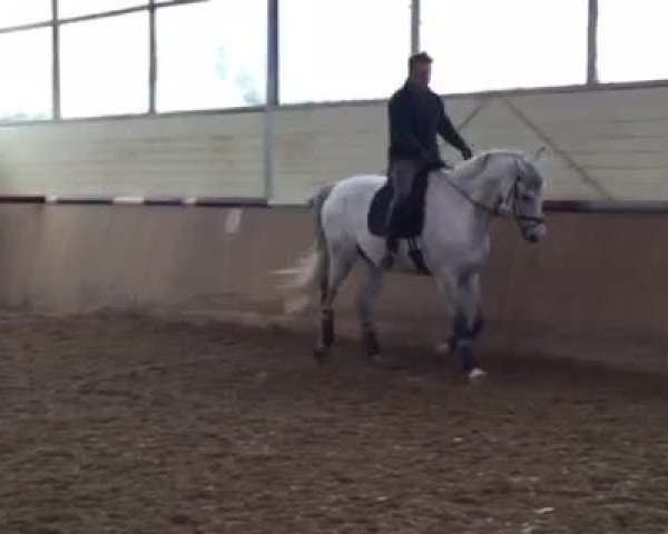 Video of For You