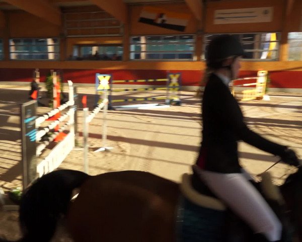 Video of Comte Canturo
