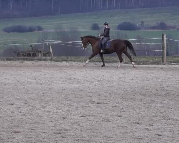 Video von Samba del Sol