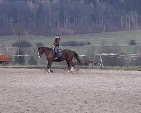 Video von Samba del Sol
