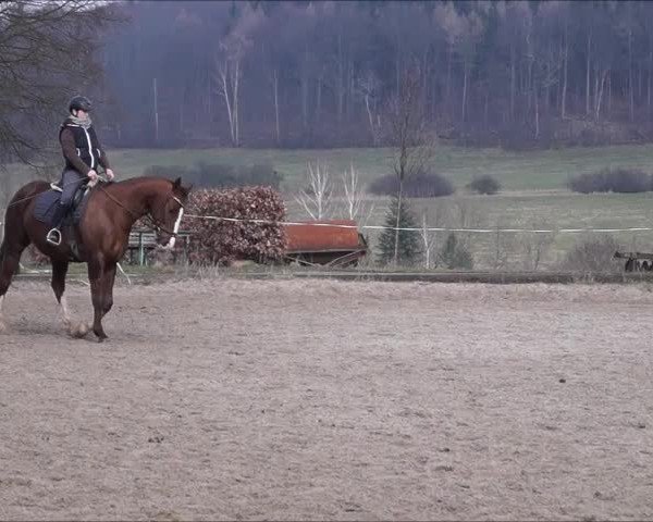 Video von Samba del Sol