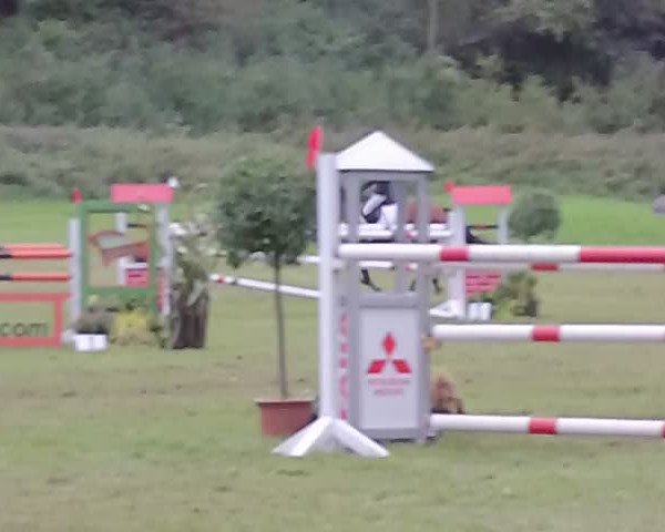 Reitturnier Wanfried 2015