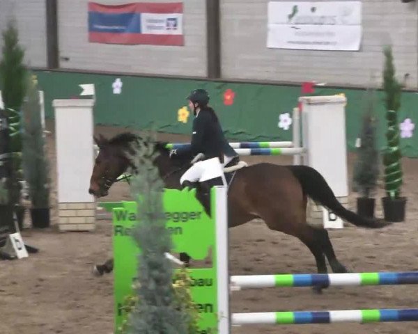 Reitturnier Heilbronn 2016
