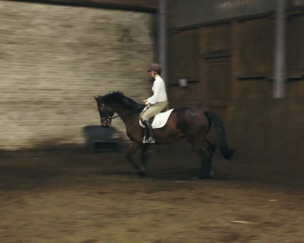 Video of Leonie