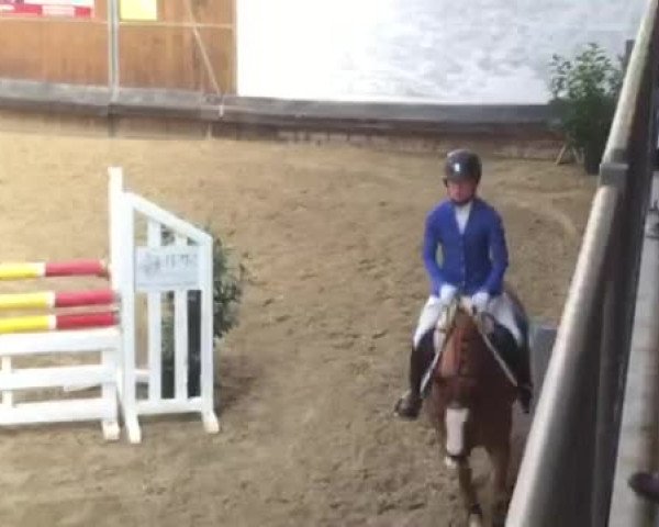 Video of Daiquiri De Luxe